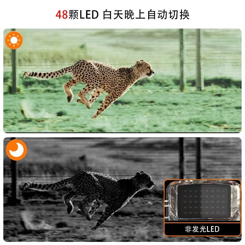 عرض خاص DL001 كاميرا صيد لتتبع - مراجعة Outdoor Sport Field وسعره