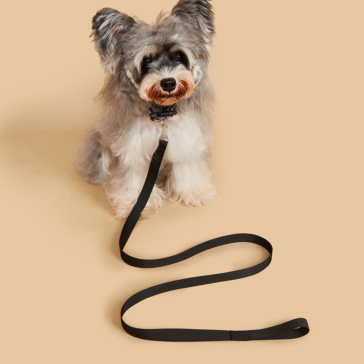 طقم طوق ومقود للحيوانات الأليف - مراجعة Headcollar Rope Set وسعره