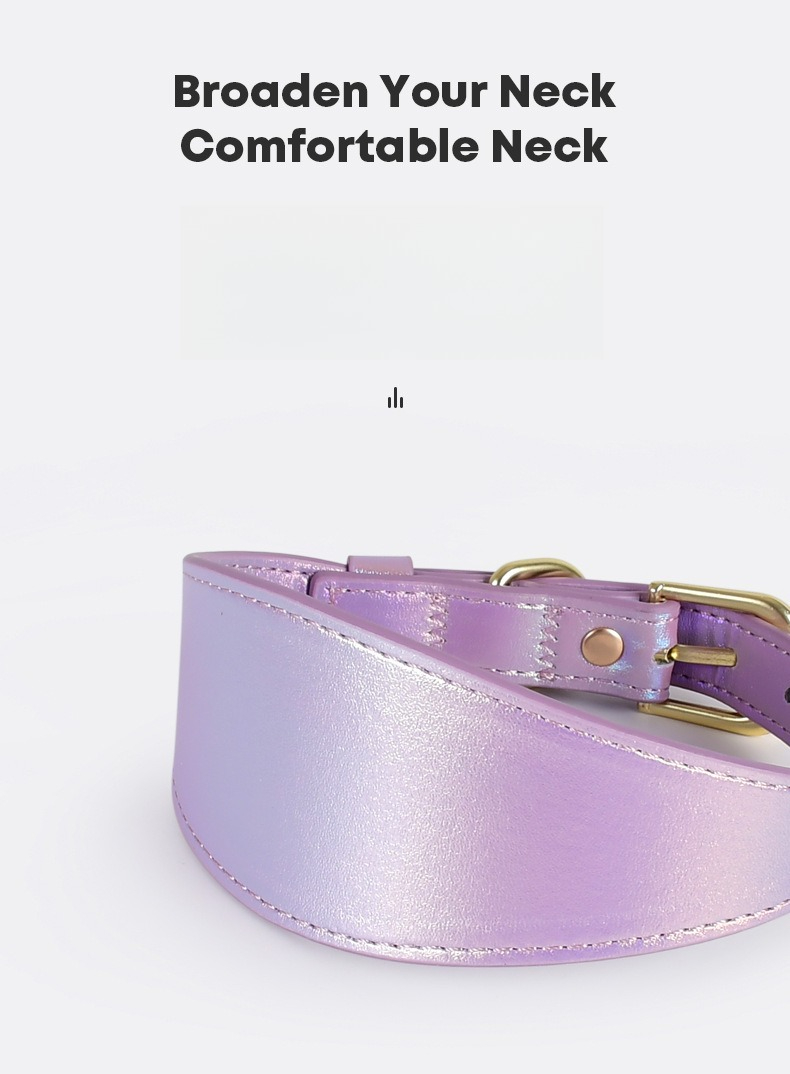 طقم طوق وحبل للكلاب من الجلد ا - مراجعة Headcollar Rope Set وسعره