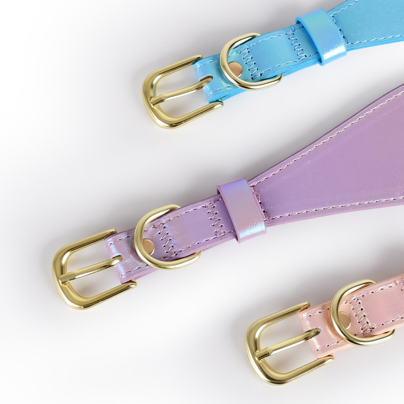 طقم طوق وحبل للكلاب من الجلد ا - مراجعة Headcollar Rope Set وسعره