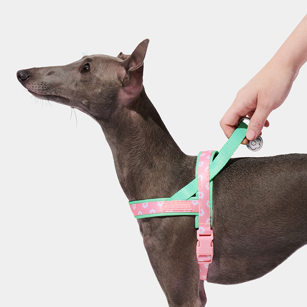 طقم حزام صدر فاخر للحيوانات ال - مراجعة Headcollar Rope Set وسعره