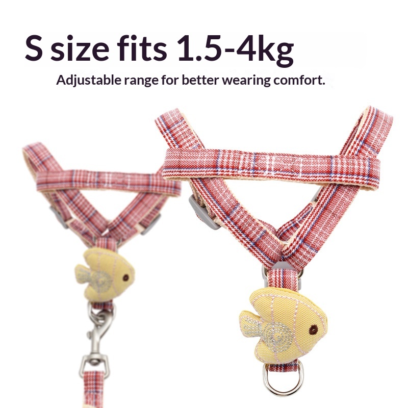 طقم طوق وحزام للكلاب الصغيرة ب - مراجعة Headcollar Rope Set وسعره
