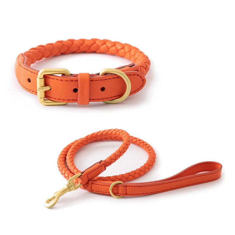 طقم طوق وحزام جلدي مضفر قابل ل - مراجعة Headcollar Rope Set وسعره